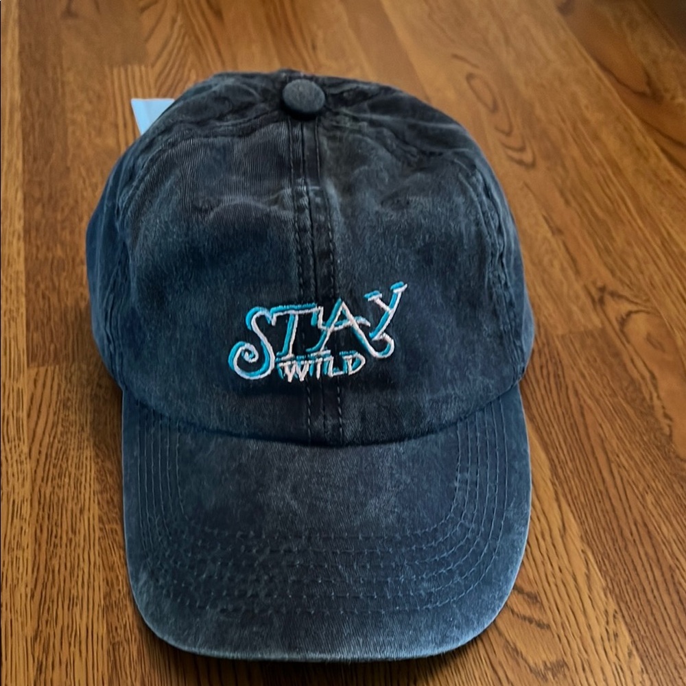 PacSun Blue Stone Washed Stay Wild' Embroidered Cap